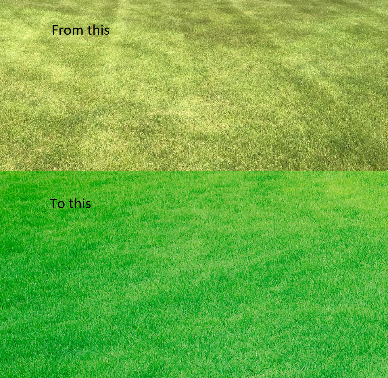 25kg SULPHATE OF IRON (FERROUS SULPHATE) LAWN GREENING TONIC Soluble in water - Image 3