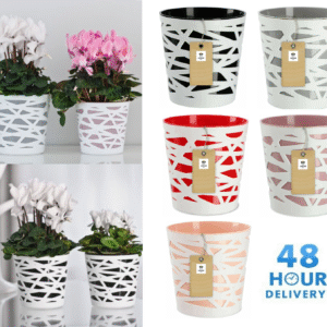 Plant pot planter Flowerpot Crystal Modern Decorative Daizy 7 colours 4 sizes