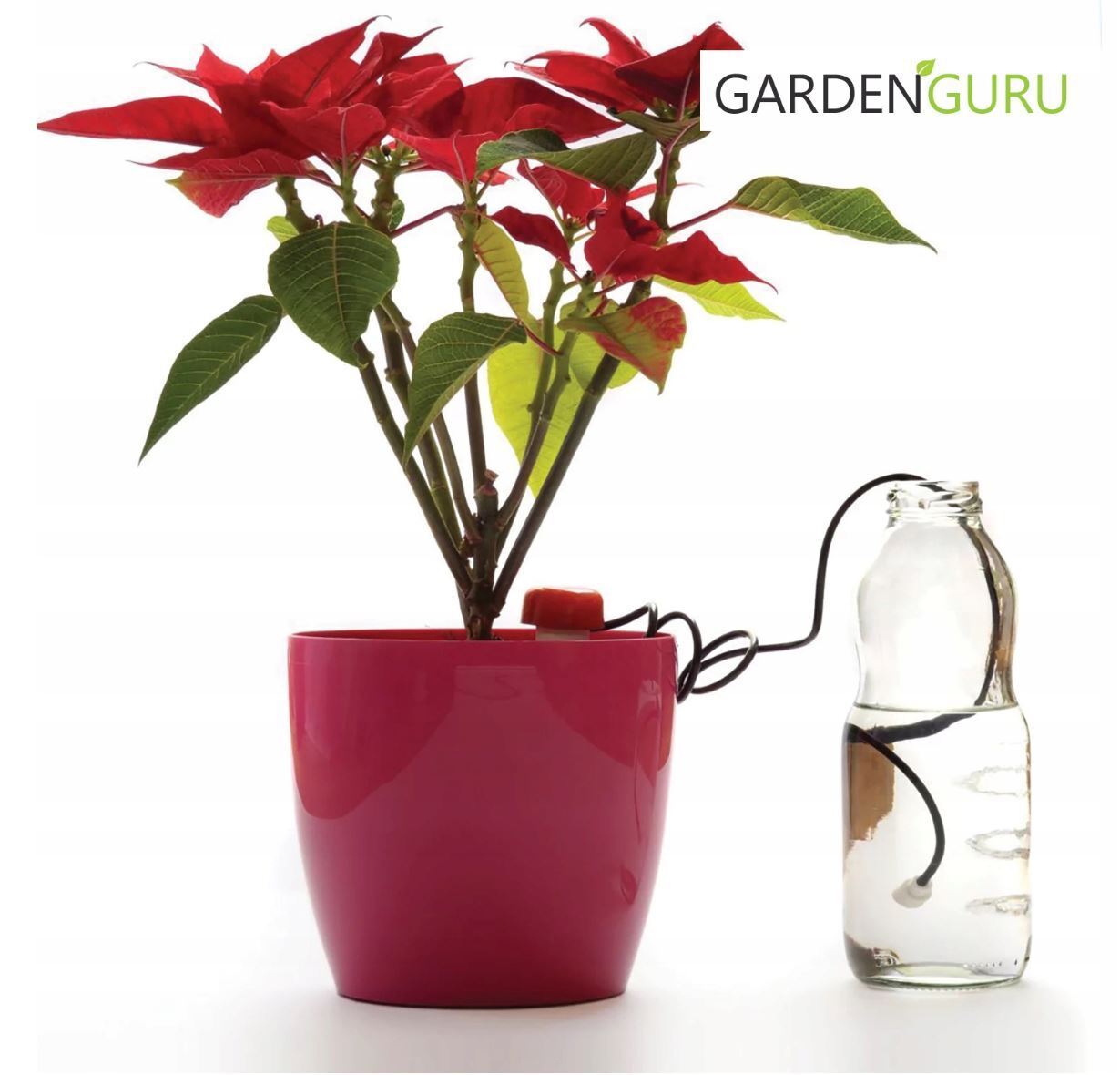 Watering System For Water Dispenser Plants Automatic Potted Plants Flowers - Image 3