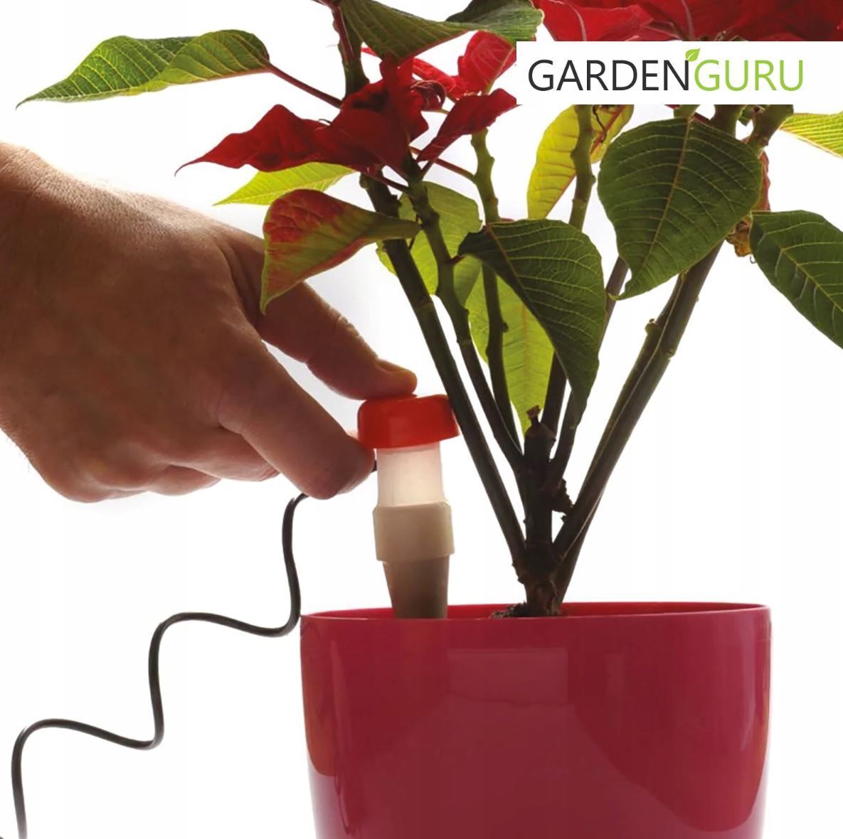 Watering System For Water Dispenser Plants Automatic Potted Plants Flowers - Image 4