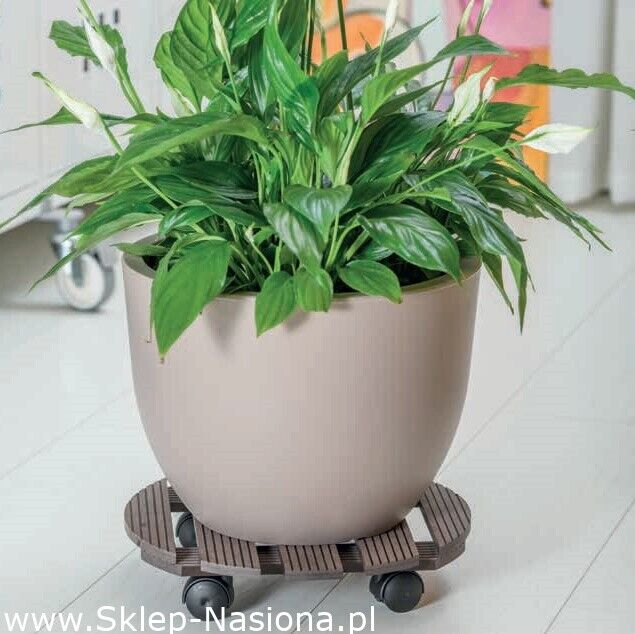 Potted Plant Pot Stand Mover on Wheels Outdoor Garden Flower Caddy Holder - Image 14