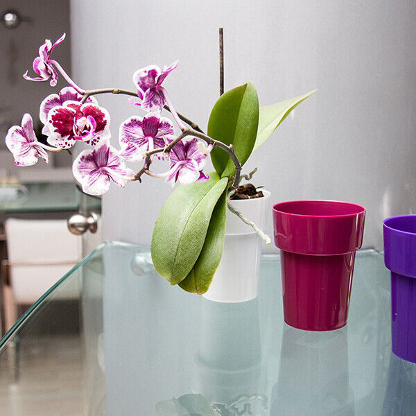 Micro mini Plant Pot Cactus Orchid Plastic 11 Colours Gloss 6cm Modern Bright