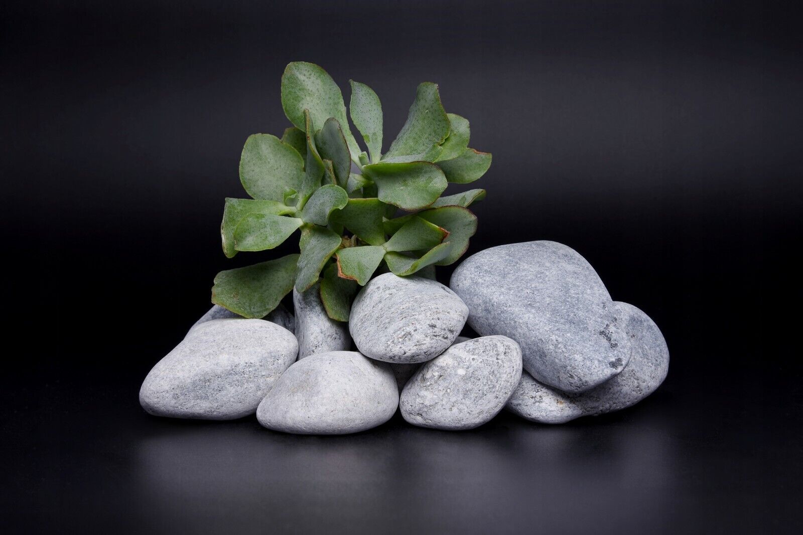 Blue Akron Pebble Sea Depth GARDEN AQUARIUM Decorative Large Garden Stones 3-6cm - Image 8