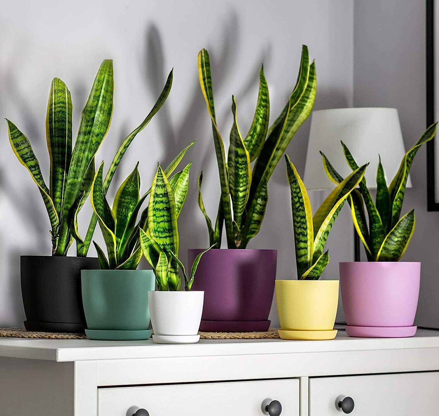 Plant Pots Flower Planter 6 Colours 8 sizes Matt Plastic Pot + Saucer Tray Deco - Image 6