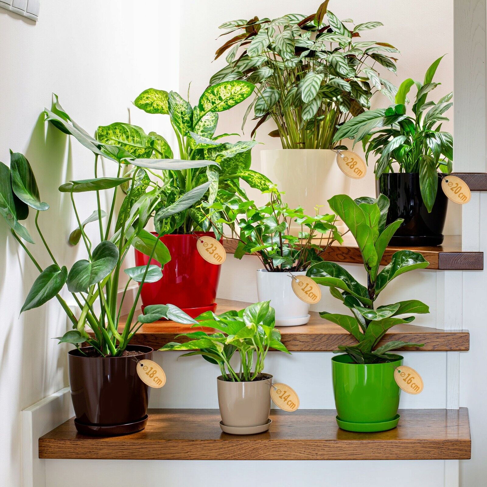 Plant Flower Pot Plastic 20 Colours 9 sizes Gloss Pots Planter Saucer Tray Deco - Image 4