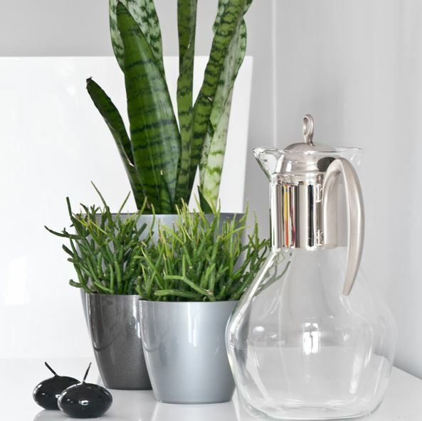 Plant Flower Pot Plastic 20 Colours 9 sizes Gloss Pots Planter Saucer Tray Deco - Image 5