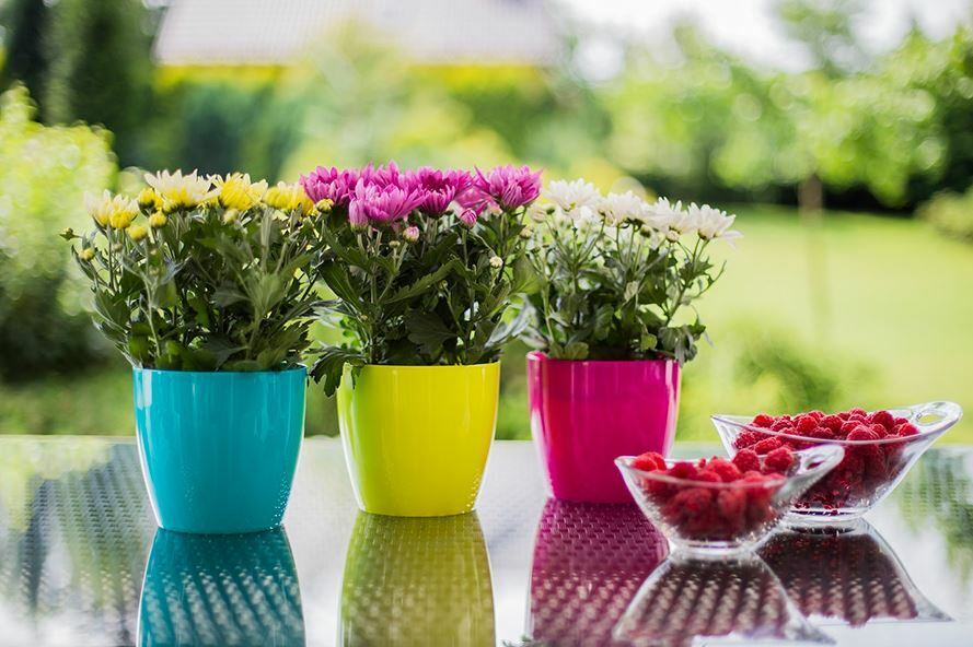 Plant Flower Pot Plastic 20 Colours 9 sizes Gloss Pots Planter Saucer Tray Deco - Image 6