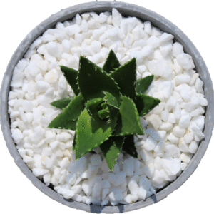 Decorative MARBLE EXTRA WHITE Stones Chippings HOME & GARDEN AQUARIUM Plant Pot