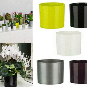 Cactus Plant Pot Round Plastic Pots Cylinder Modern Decorative Small Medium
