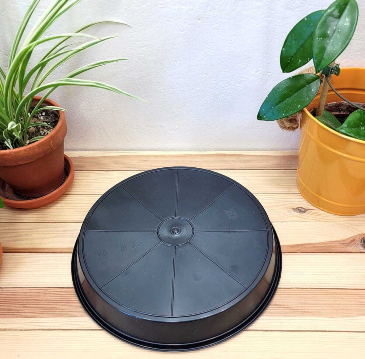 Black Round Plastic Water Plant Pot Saucer hydroponics 18/25/30/35/40/45/50cm - Image 2