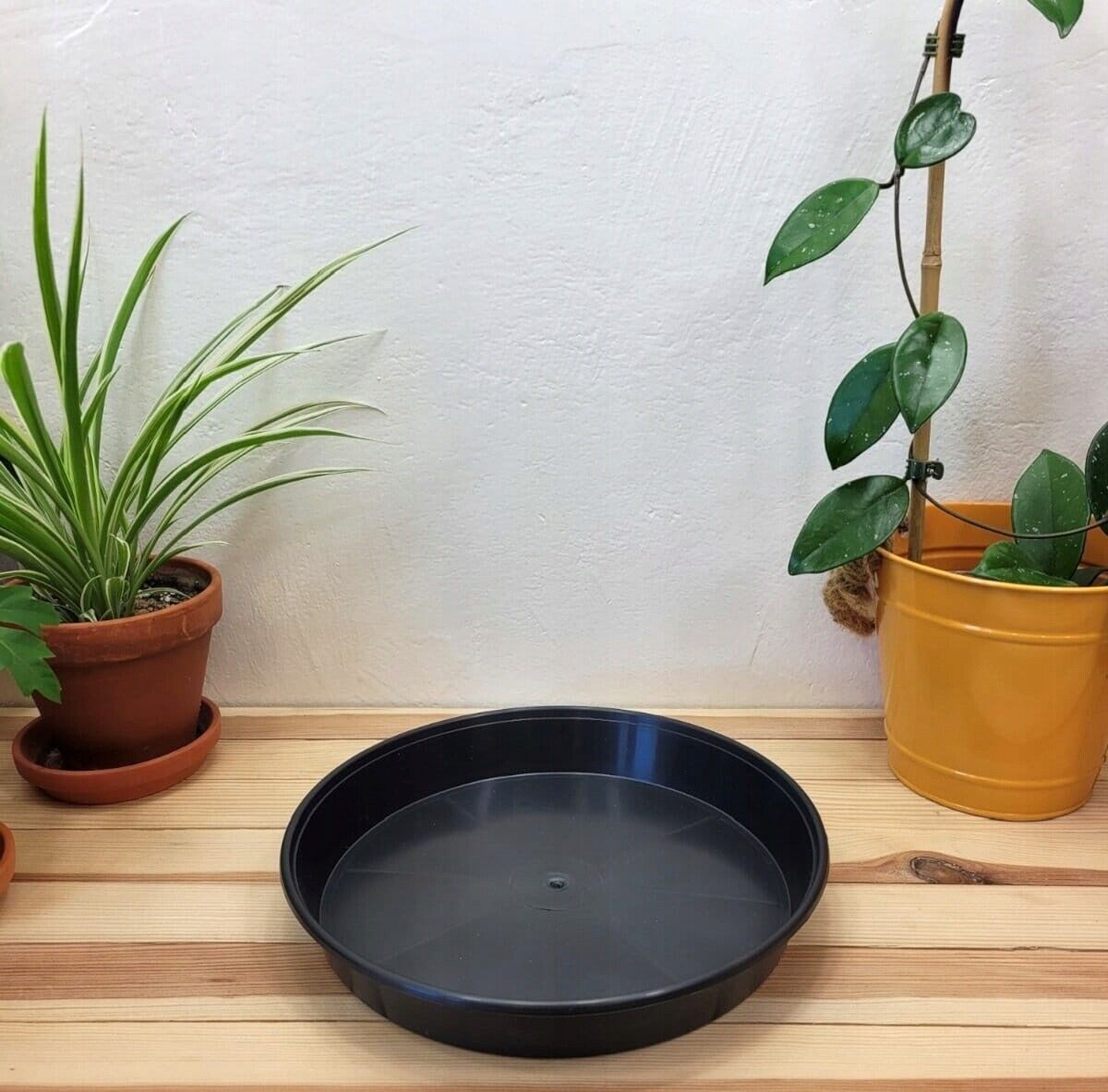 Black Round Plastic Water Plant Pot Saucer hydroponics 18/25/30/35/40/45/50cm - Image 3