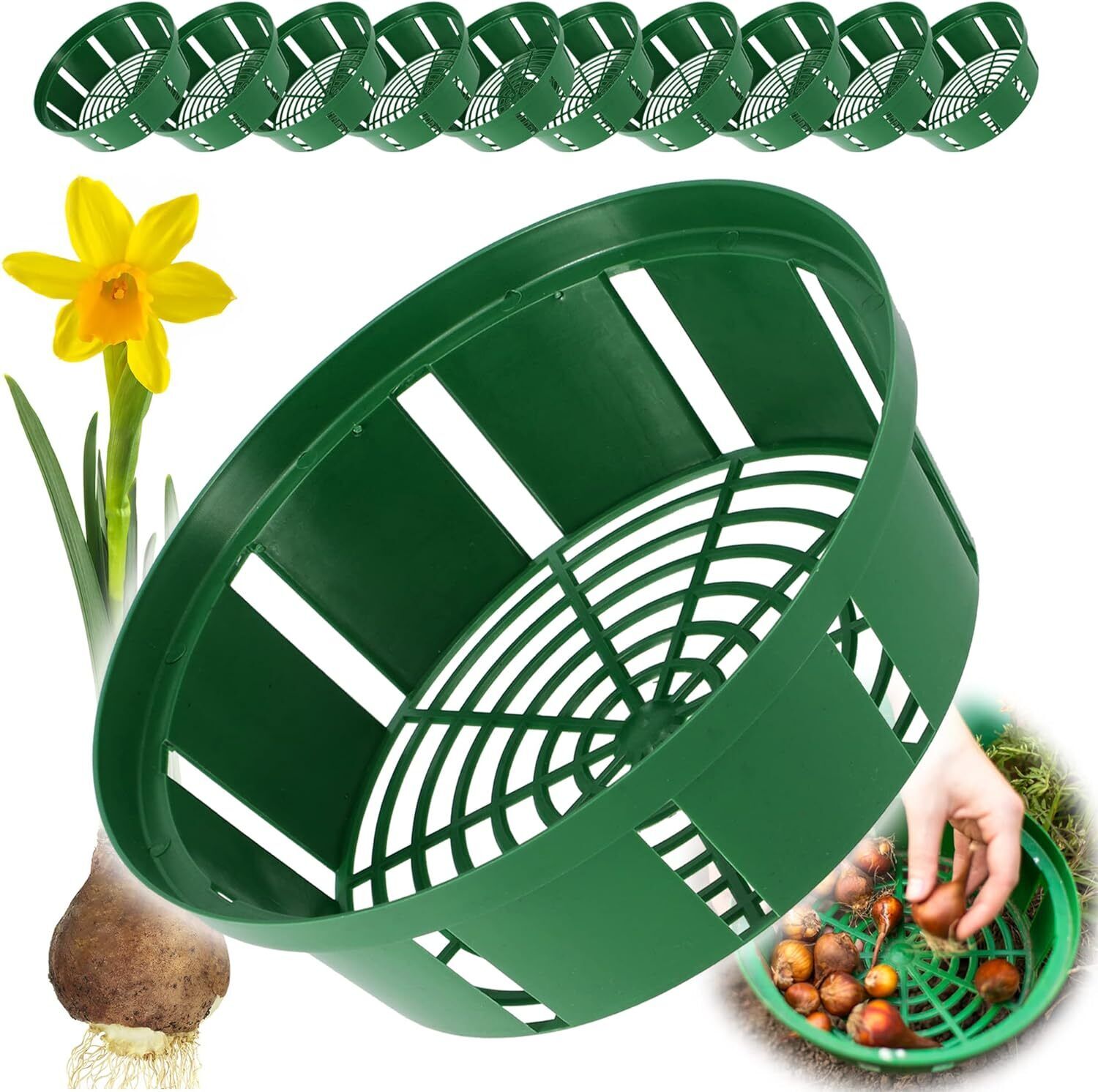Bulb Baskets Daffodil Tulip Crocus Snowdrop Allium Easy Planter 20cm/23cm/26cm