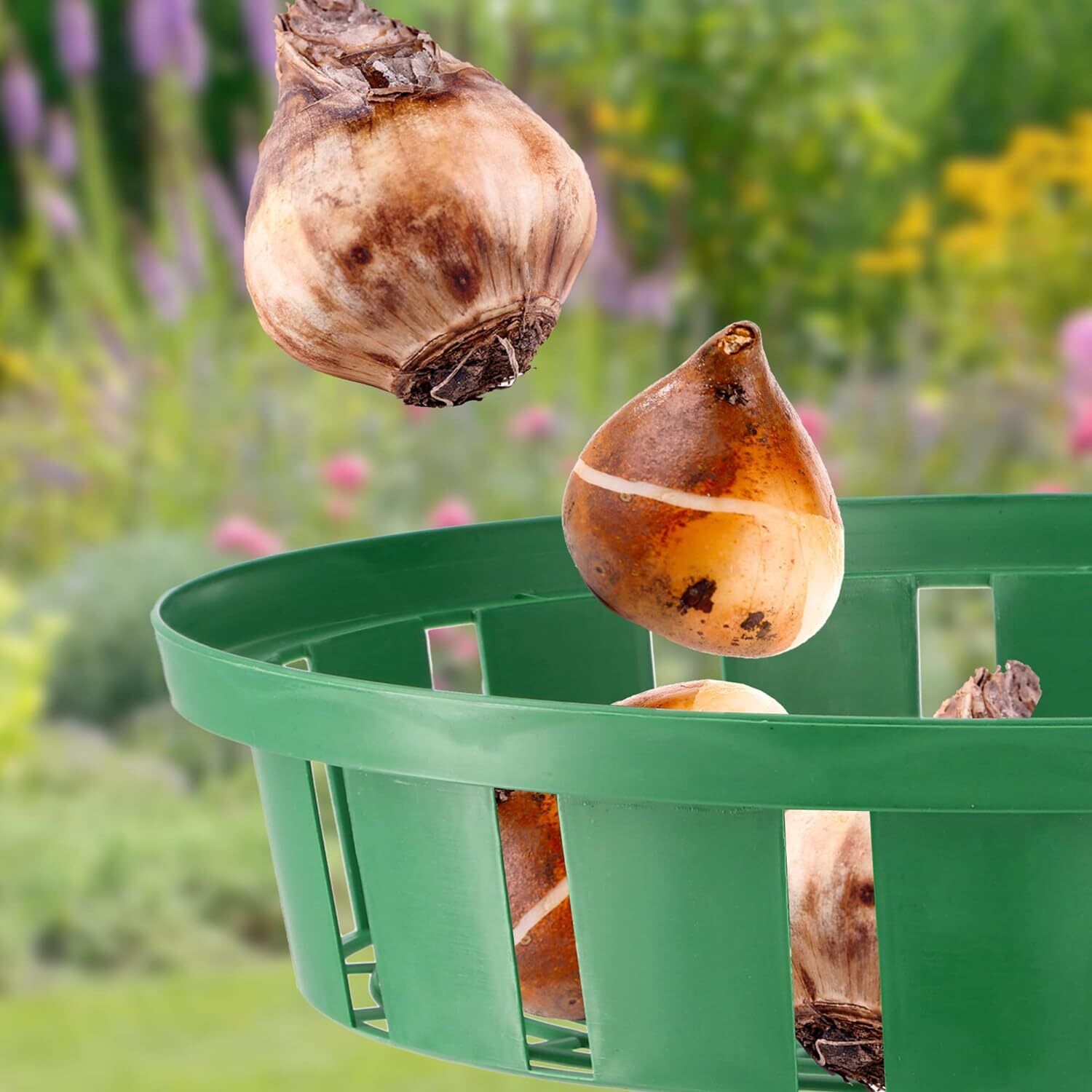 Bulb Baskets Daffodil Tulip Crocus Snowdrop Allium Easy Planter 20cm/23cm/26cm - Image 3