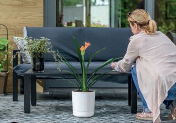 Plant Pot with Saucer Flowerpot Round Plastic Modern Decorative 6 Pastel Colours - Image 3