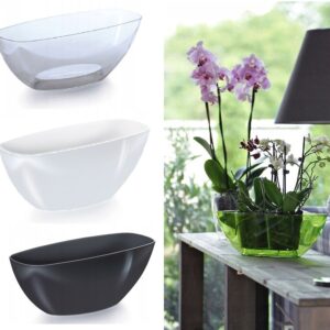 Plant Orchid Pot Plastic 3 Colours Oval Planter Transparent Clear 20 or 36cm cm