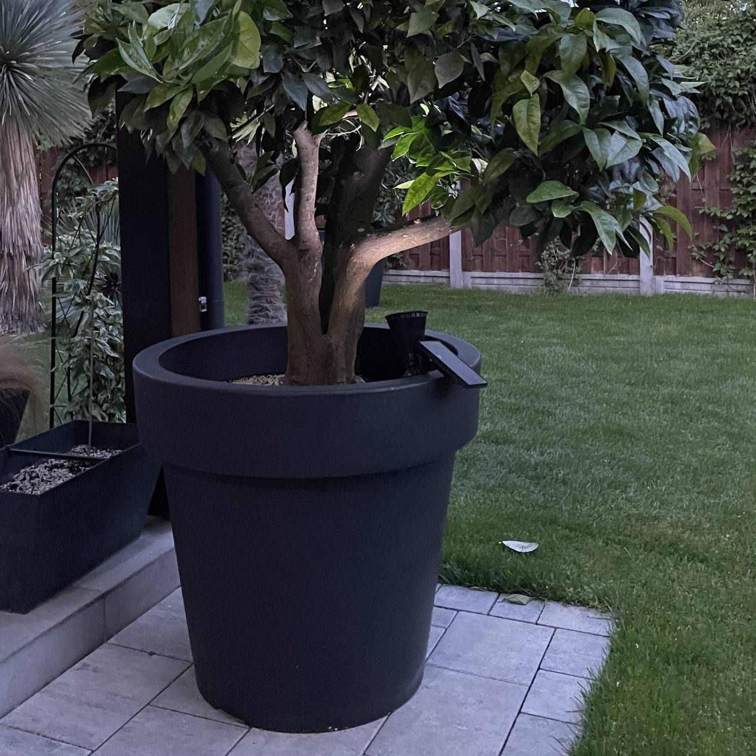 Big Plant Tree Pots Extra Large HUGE Indoor Outdoor Planter Garden Massive 430L - Image 19