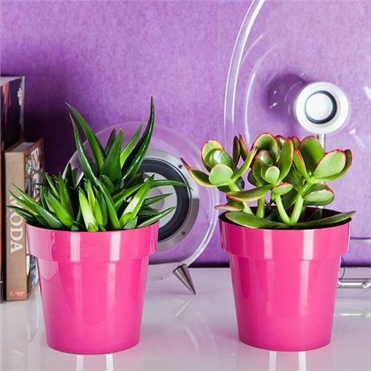 Micro mini Plant Pot Cactus Orchid Plastic 11 Colours Gloss 6cm Modern Bright - Image 5