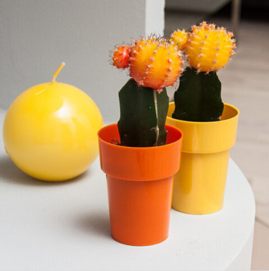 Micro mini Plant Pot Cactus Orchid Plastic 11 Colours Gloss 6cm Modern Bright - Image 15