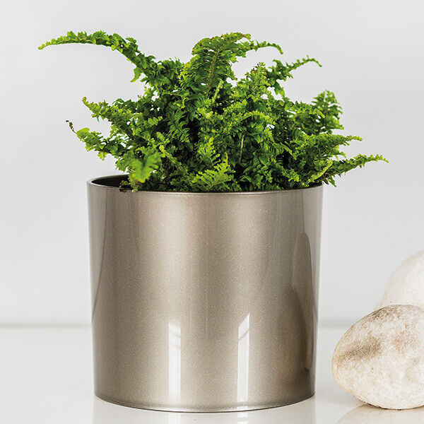 Cactus Plant Pot Round Plastic Pots Cylinder Modern Decorative Small Medium - Image 5