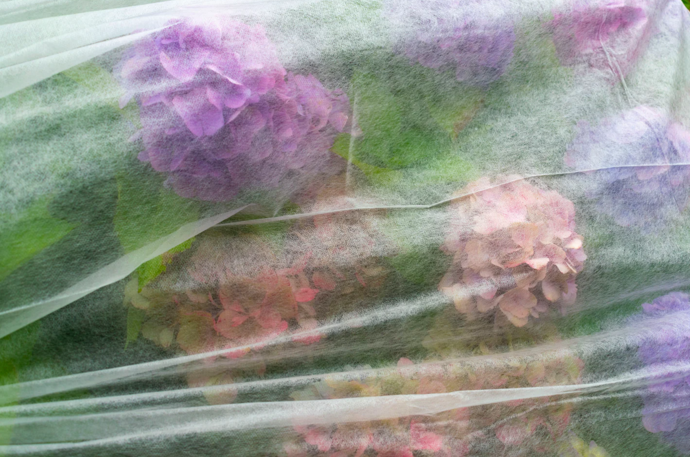 5X Plant Fleece Insect Cover Frost Protection 6 Sizes 18gsm Horticultural Garden - Image 4