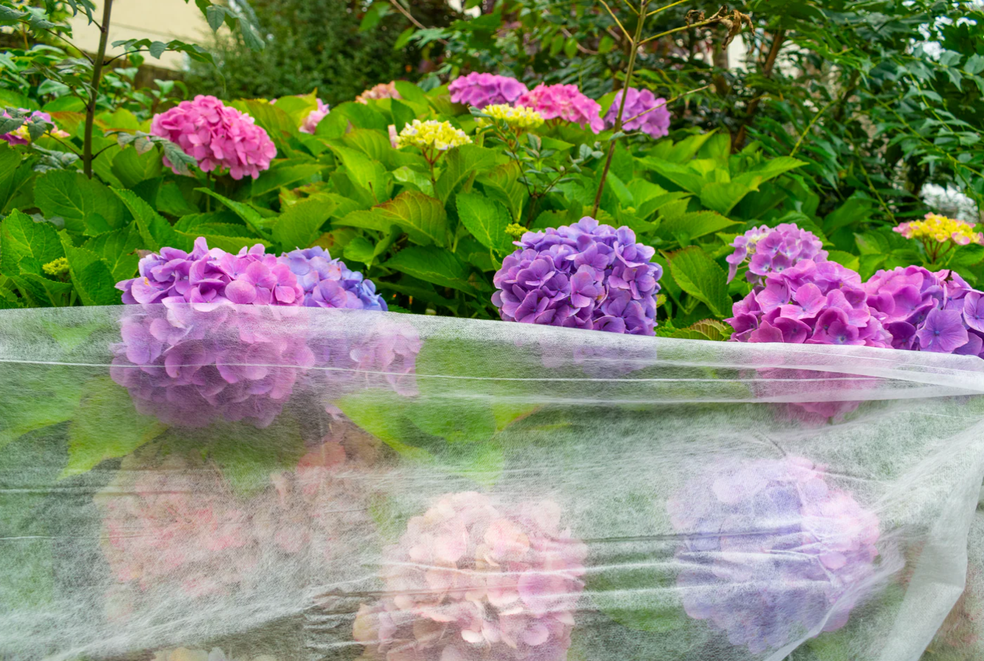 5X Plant Fleece Insect Cover Frost Protection 6 Sizes 18gsm Horticultural Garden - Image 7