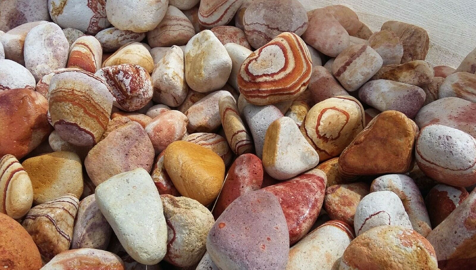 Decorative Rainbow Orange White Stones / Pebbles
