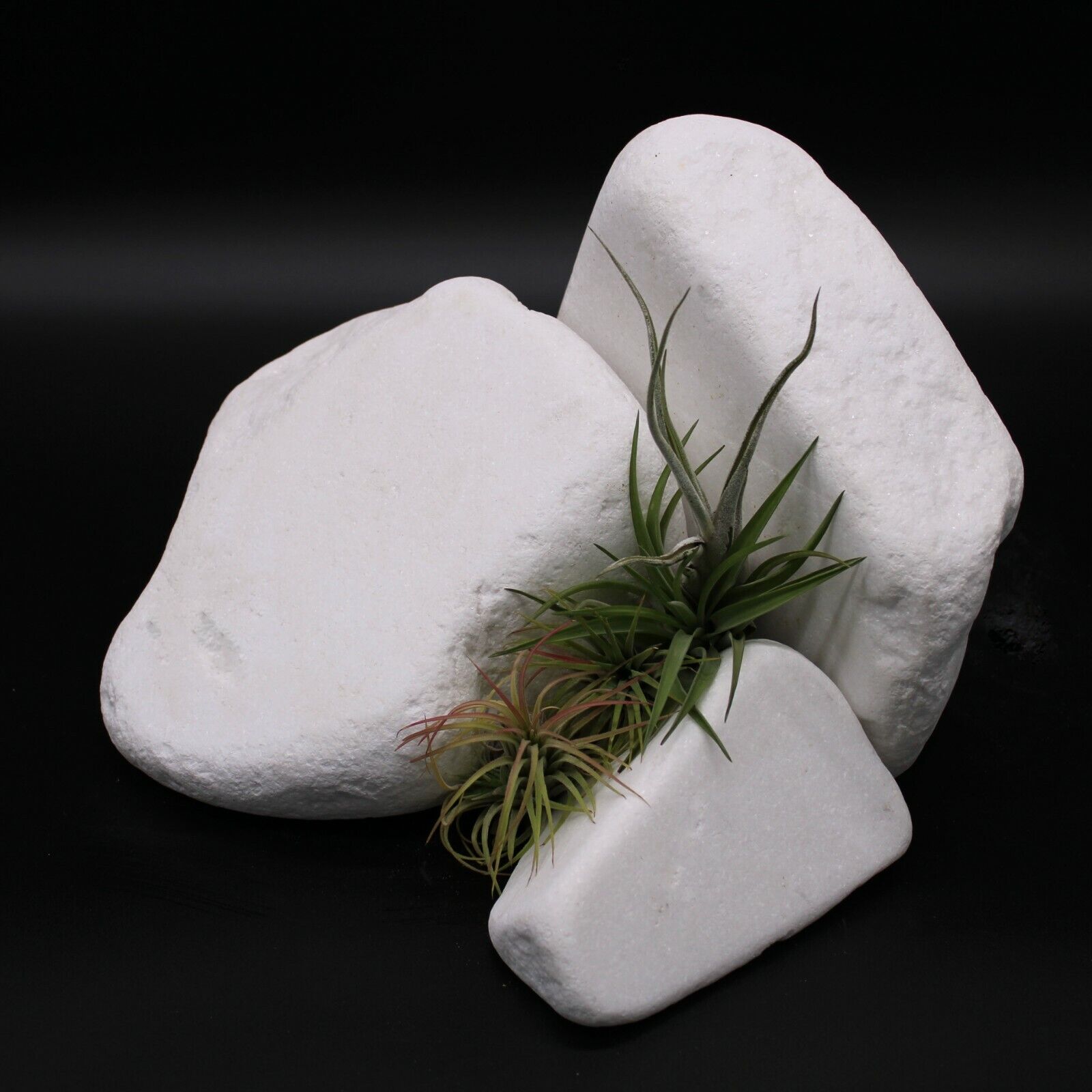 Decorative MARBLE EXTRA WHITE Stones / Pebbles Rock HOME & GARDEN *** AQUARIUM - Image 6