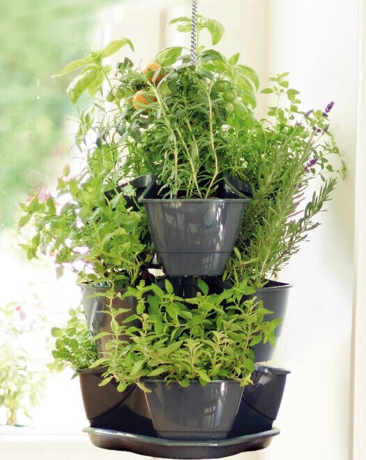 Vertical Herb Strawberry Planter with Hanging Chain Garden Stackable Pot 12 pcs - Image 4