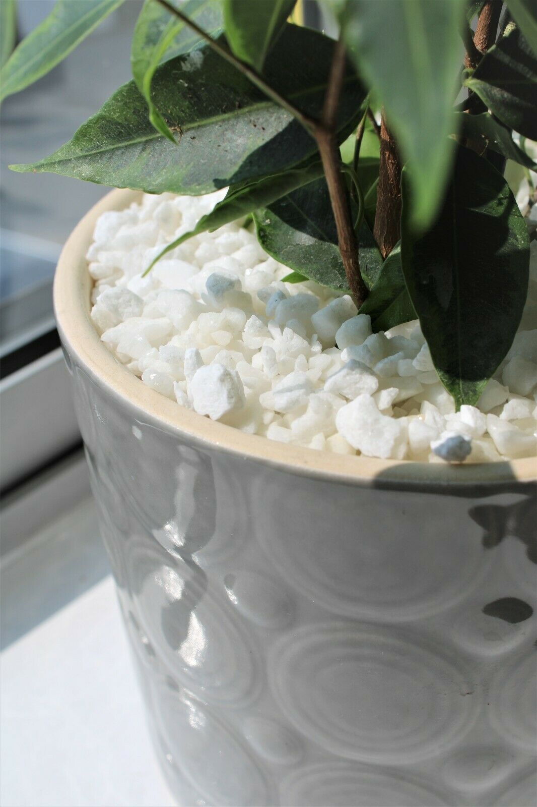 Decorative Marble Extra White Stones Chippings 3-8mm - Image 4