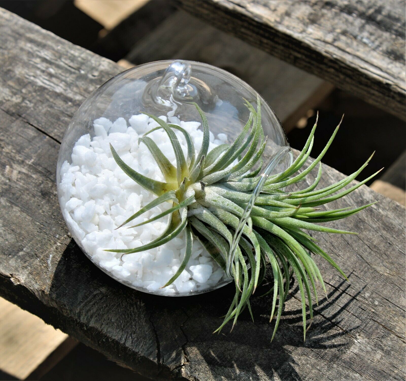 Decorative Marble Extra White Stones Chippings 3-8mm - Image 3